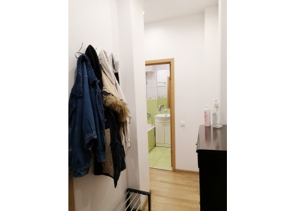 IŠNUOMOJAMAS 2 KAMBARIŲ BUTAS KAUNO G., NAUJAMIESTYJE
